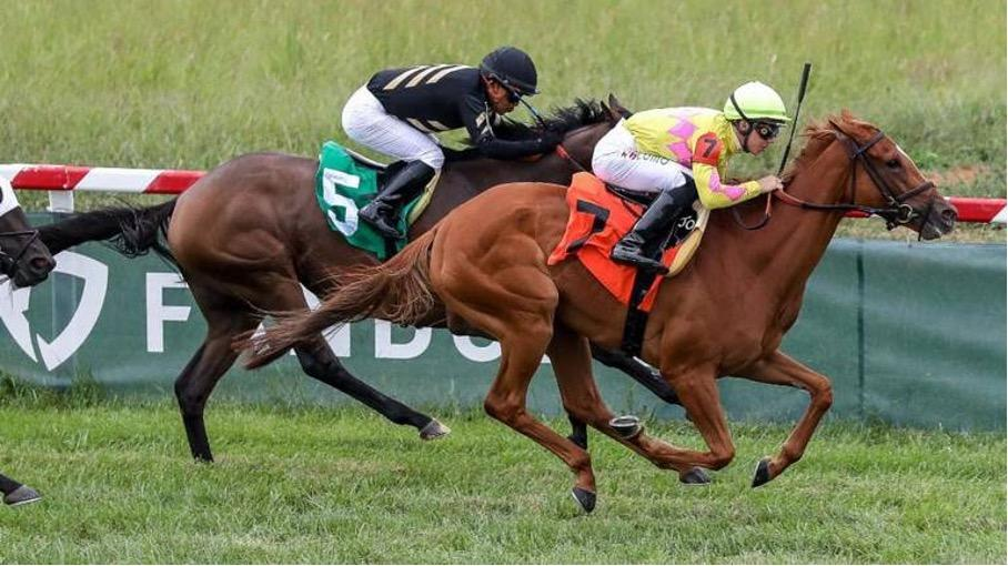 How Horse Racing Became a Fan-Favorite in Online Betting